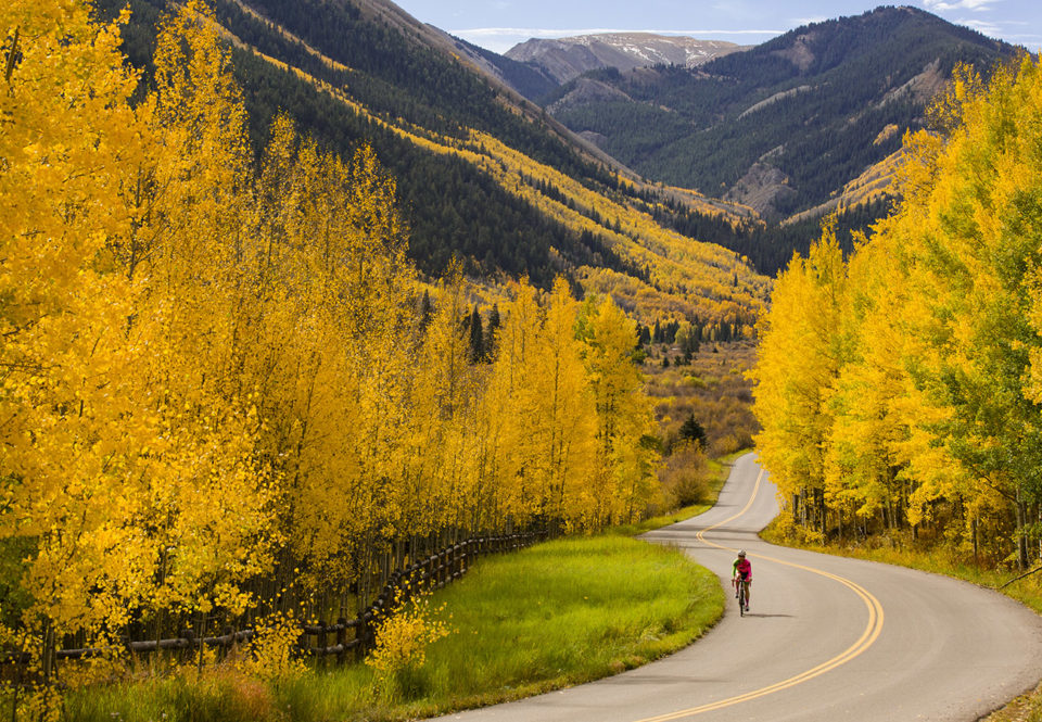 ACRA - Road Bike - Fall